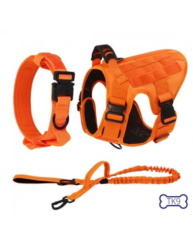 Harnais Tactique Orange - Anti traction - Chiens Grandes Tailles 