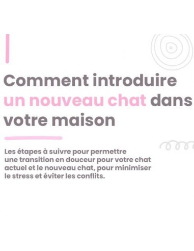 Comment introduire un nouveau chat dans votre maison 