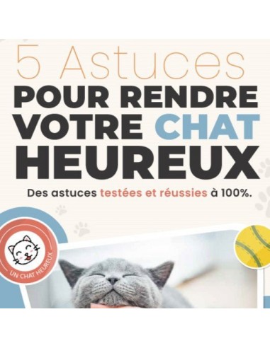 5 Astuces pour rendre votre chat heureux 