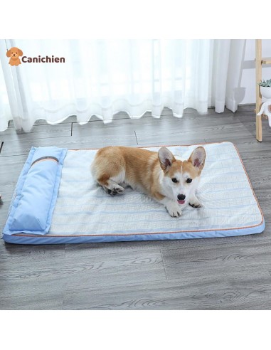 TAPIS RAFRAICHISSANT CHIEN | FrozeMat™ 