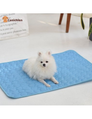 TAPIS RAFRAICHISSANT CHIEN | ArcticPad™ 