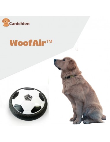 Jeu d'occupation chien | WoofAir™ 