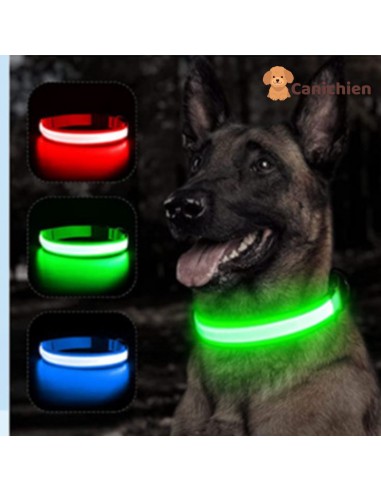 COLLIER LUMINEUX CHIEN | NightGuard™ 