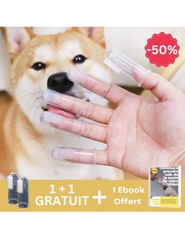 Brosse a dent chien | CleanSmile™ 