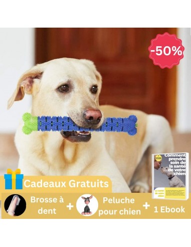 Jouet pour chien dentaire | DentiPup™ 