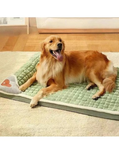 Tapis chien | CozyDreams™ 