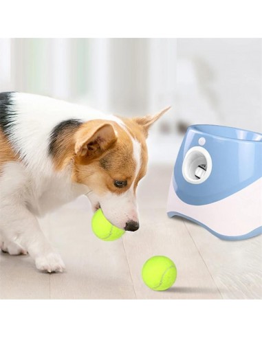 Lanceur de balle pour chien bleu | RocketDog™ 