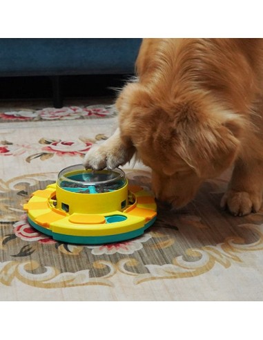 JEU INTELLIGENCE CHIEN ANTI GLOUTON | NutriPlay™ 