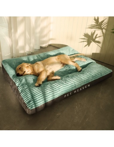 Coussin chien XXL | ComfyWoof™ 