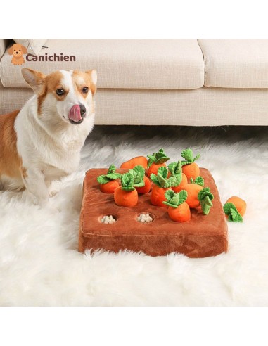 TAPIS DE FOUILLE CHIEN | SniffyMat™ 