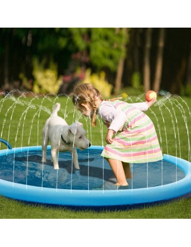 Piscine pour chien avec jet d'eau | SplashDog™ 