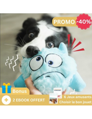 La peluche pour chien | l'équipe ZoomZiggy™ 