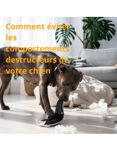 Ebook - Comment éviter les comportements destructeurs 