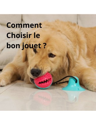 Ebook - Comment bien choisir ces jouets 