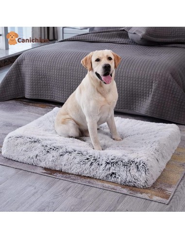 Tapis pour chien | Confortplus™ 