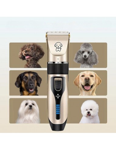 Tondeuse pour chien | GROOMPro™ 