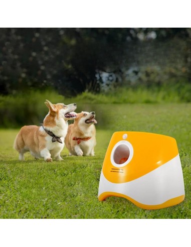 Lanceur de balle pour chien orange | RocketDog™ 