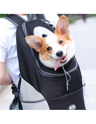 Sac a dos pour chien | CaniComfy™ 