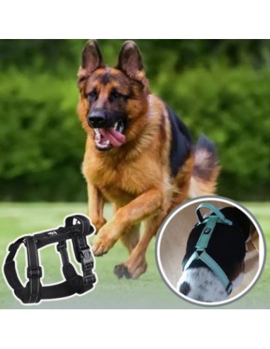 Harnais pour chien | TrackGuard™ 