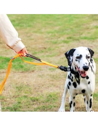 Laisses pour chien Multifonction 