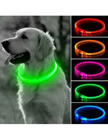 Collier lumineux chien | Vizilight™ 