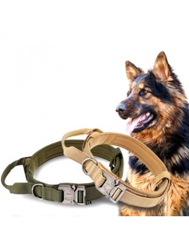 Collier pour chien - Tactique 