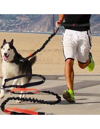 LAISSE POUR CHIEN | TreckLeash™ 