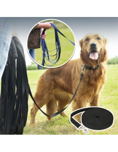 LAISSE LONGE POUR CHIEN | LiberLeash™ 