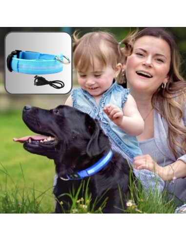 COLLIER LUMINEUX CHIEN | SecurCollar™ 