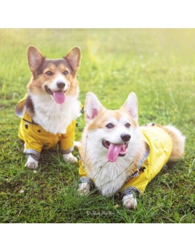 IMPERMEABLE CHIEN | TexJacob™ 