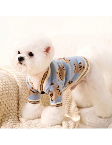 PULL POUR CHIEN | TeddyPet™ 