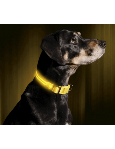 Le Dog Light Nylon 