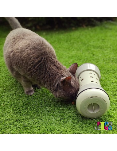 PIPOLINO® para gatos: uma nova forma de comer enquanto brinca para o seu felino favorito 