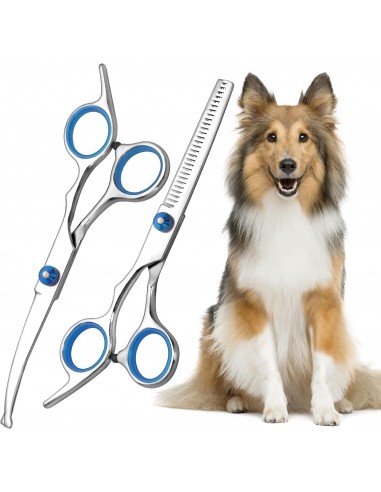 Acier allié Ciseaux de Toilettage Pet Scissors Courbés pour Animaux de Compagnie Ciseaux Effileur Chien 