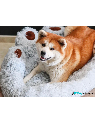 Cuddle Lover™ - Coussin relaxant pour animaux 