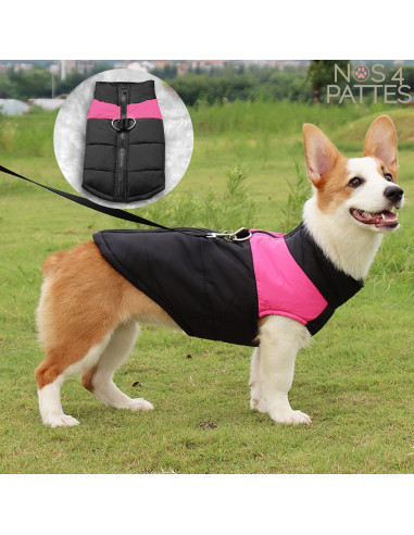 Manteau imperméable chien 