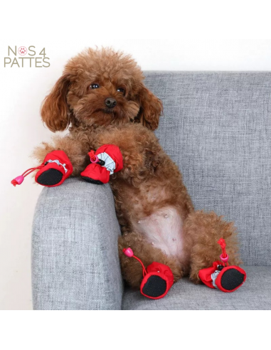 Bottes chaussures imperméables pour petits chiens 