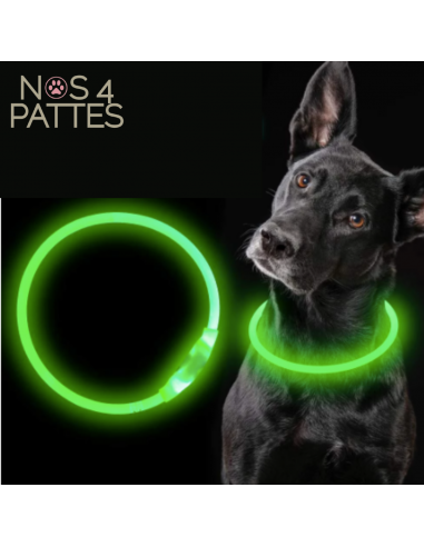 Collier à led lumineux pour chien 