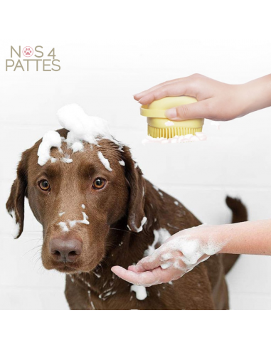 Brosse de bain pour chien 