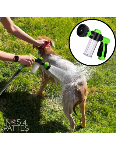 Jet d'eau moussant nettoyage chien 