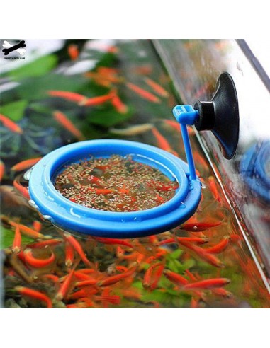 Mangeoire pour poissons anneau flottant alimentaire 