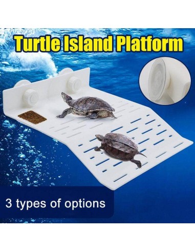 Plateforme pour tortue aquatique plage tortue avec mangeoire 