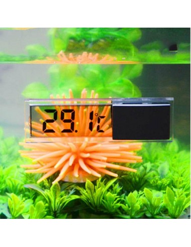 Thermomètre digital électronique externe accessoire d'aquarium 