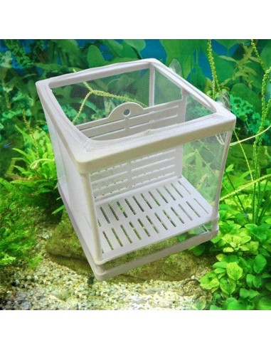 Boîte d'élevage pour petits poissons incubateur pour alevins accessoire d'aquarium 