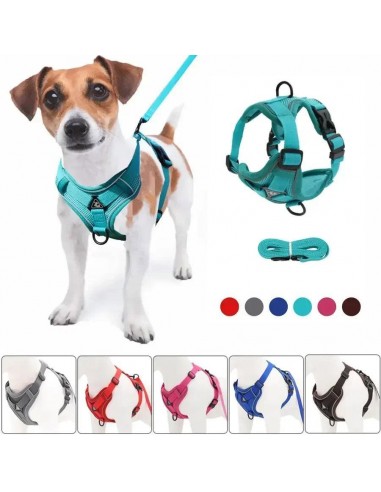 Harnais Anti Traction Petits Chiens - 2 à 10kg 